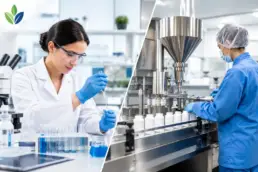 In-House Versus Outsourced Formulation Choices